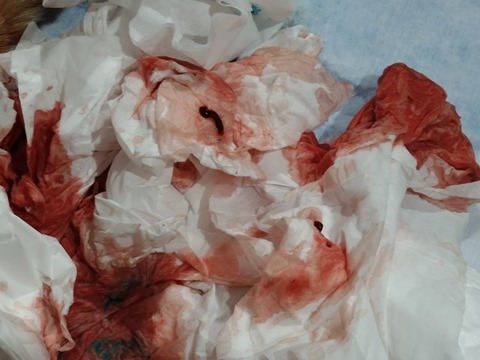 20260127_081713_copy_816x612