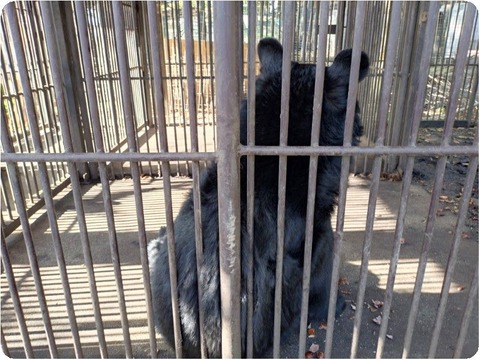 20251105_090118_copy_800x600