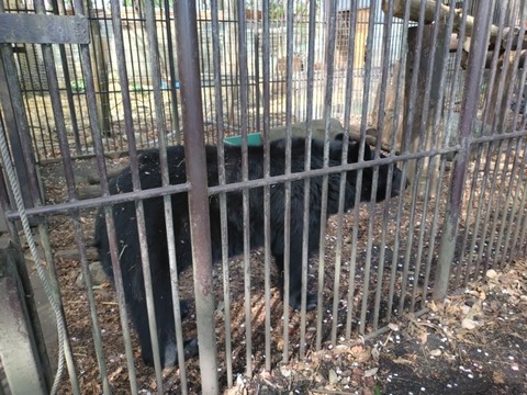 20250421_083517_copy_800x600