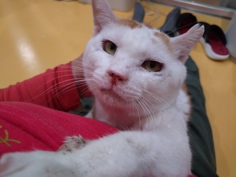 20250222_180241_copy_800x600