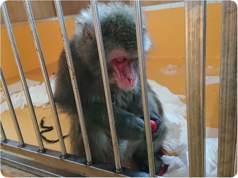 DSC_6650_copy_3200x2400