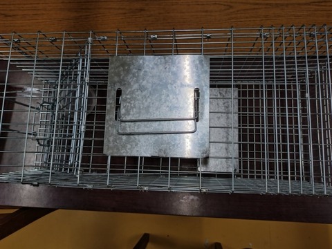 20251228_135703_copy_800x600