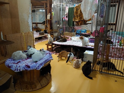 DSC_2698_copy_800x600