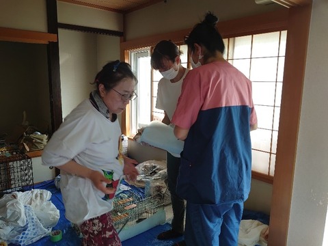 DSC_0304_copy_800x600