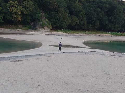 DSC_0646_copy_800x600