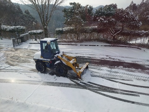 DSC_3350_copy_800x600