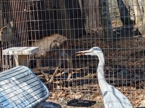 20260213_113200_copy_800x600