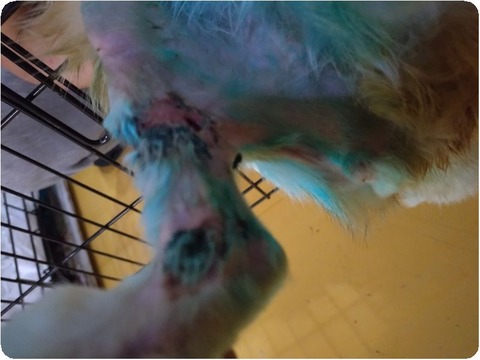 original_b45c371b-3f4a-4b00-94a7-3fce0dbb823f_20240524_190516