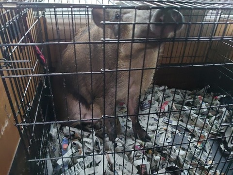 DSC_1695_copy_800x600