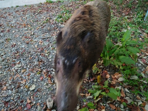 20221002_171621_copy_800x600