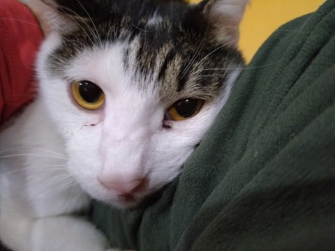 20250222_175922_copy_800x600