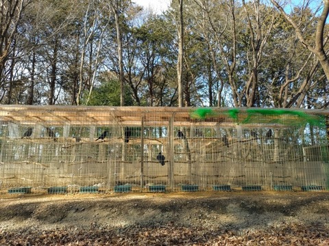 20260202_134030_copy_800x600