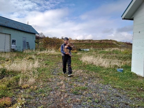 DSC_1885_copy_800x600