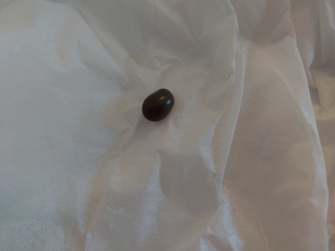 DSC_5684_copy_800x600