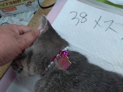 20251216_112447_copy_800x600