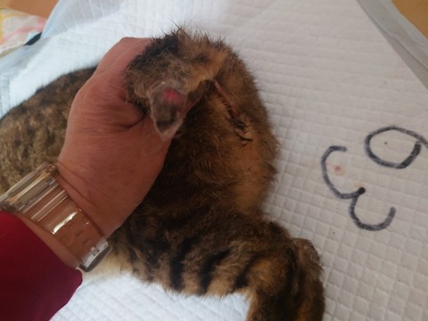 20240313_151020_copy_800x600