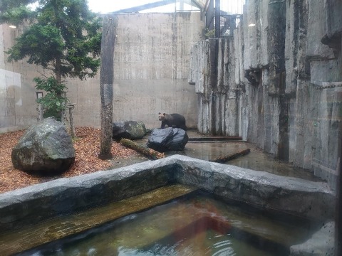 DSC_0327_copy_800x600