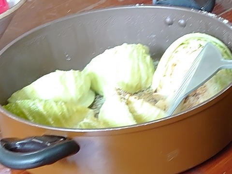 DSC_1713_copy_807x605