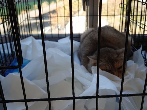 DSC_1551_copy_800x600