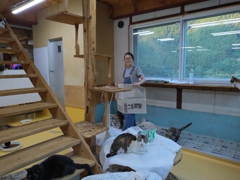 20260726_184732_copy_800x600