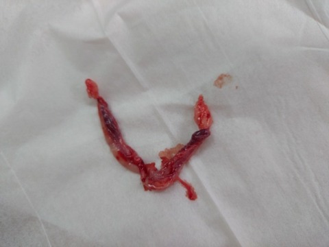 20251224_095826_copy_800x600