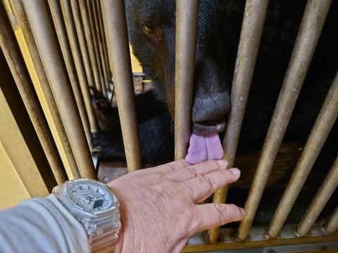 20231225_195052_copy_800x600