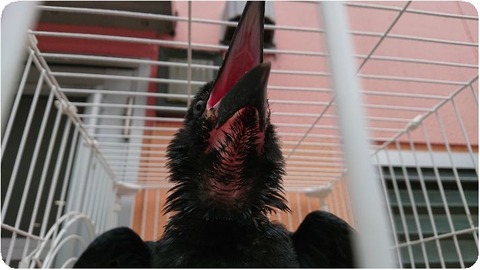 DSCPDC_0001_BURST20180626151