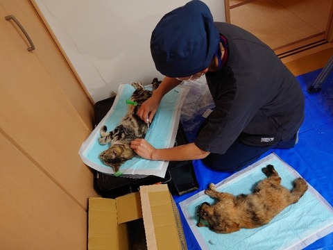 DSC_0220_copy_800x600