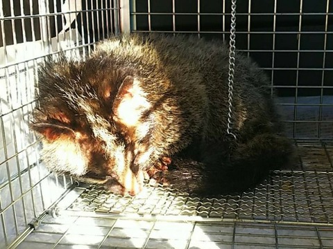 PhotoPictureResizer_200121_083041934_crop_818x613-800x600