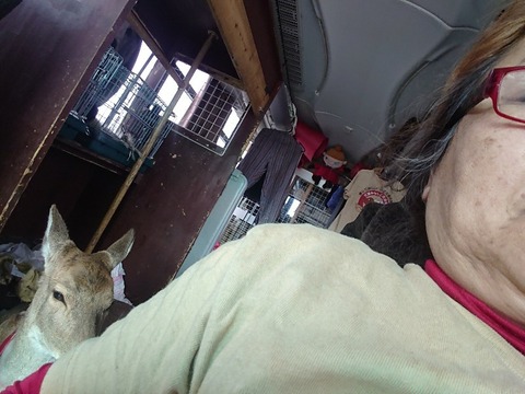 DSC_5691_copy_800x600