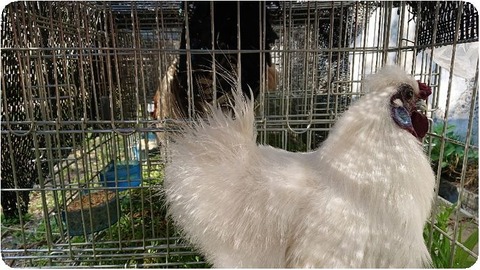 DSCPDC_0000_BURST20190524074