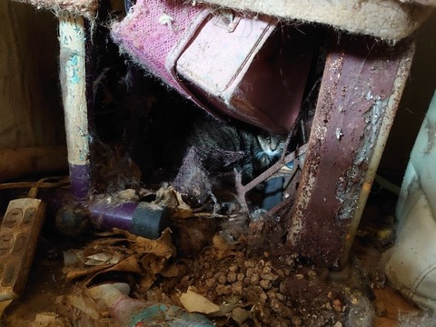 DSC_3322_copy_800x600