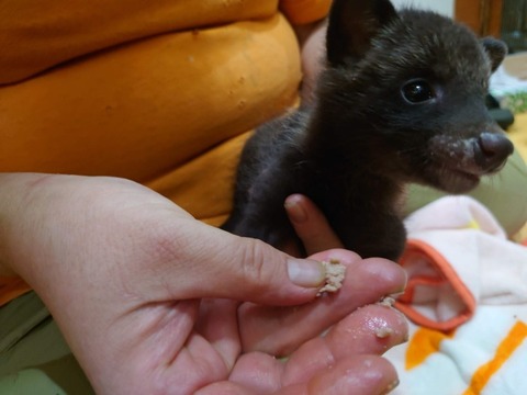 20250619_202626_copy_806x604