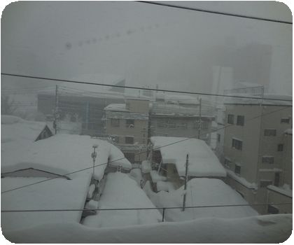 DSCN3790