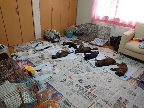 DSC_0350_copy_800x600