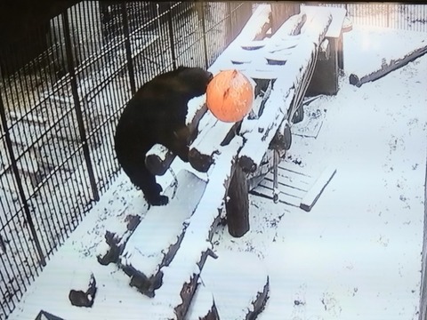 20260208_074704~2_copy_800x600