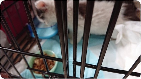 DSCPDC_0003_BURST20180626120