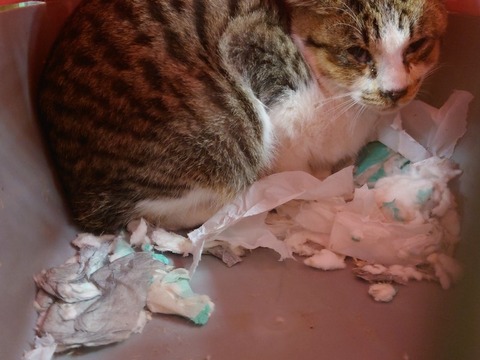 20240124_101528_copy_800x600