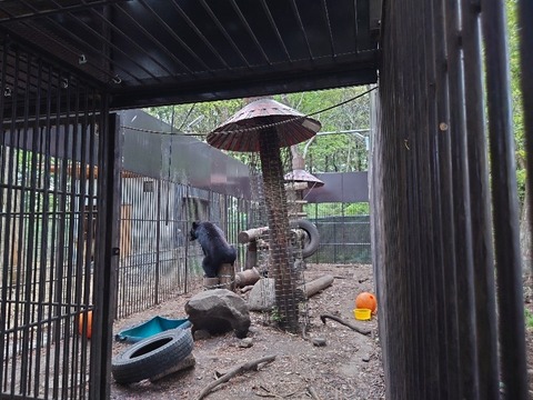 20230421_163546_copy_800x600