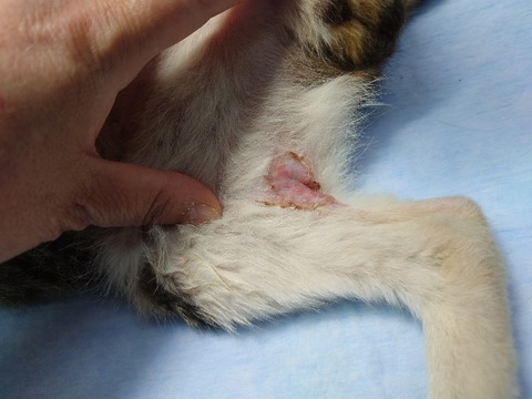 20220722_111109_copy_800x600