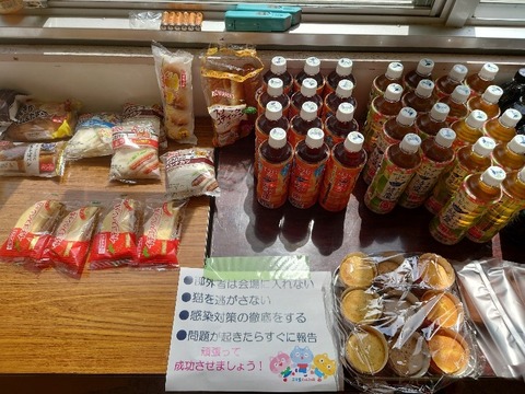 20230405_104118_copy_800x600