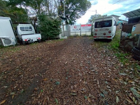 20251103_065601_copy_816x612