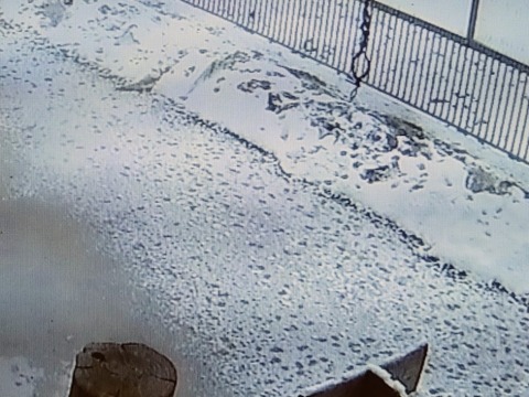 20260208_075647~2_copy_800x600