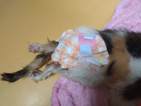 20260107_173134_copy_800x600