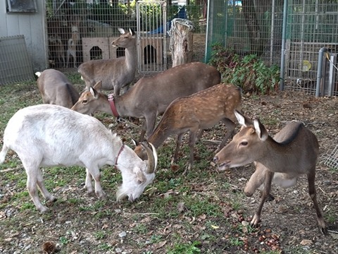 20251012_145135_copy_800x600