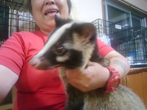 20230618_201950_copy_800x600