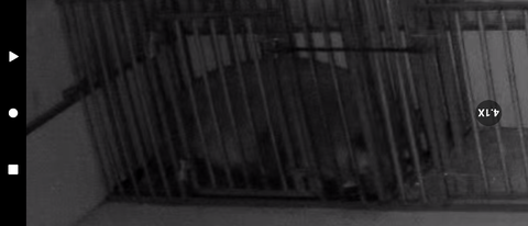 Screenshot_20240216-220417~2_copy_1024x439