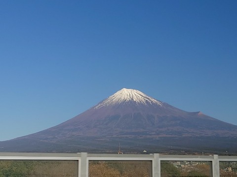 20231225_112000_copy_800x600_1