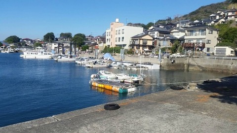 1544932390614-800x450