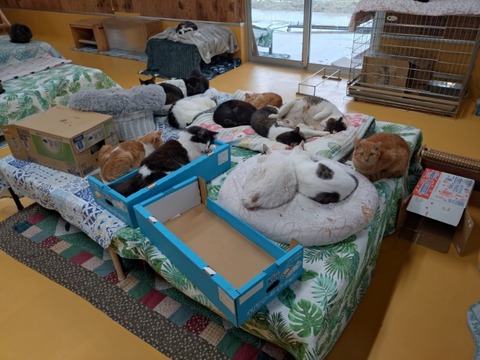 20251011_120533_copy_800x600